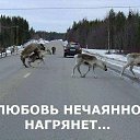 ���� ����������, �����������, 34 ���� - ��������� 22 ����� 2014 � ������ ������ ��������