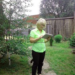 ���� ���������, ������� �������� - ��������� 15 ���� 2014