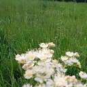 ���� �������, ������, 62 ���� - ��������� 8 ���� 2014 � ������ ������ ��������