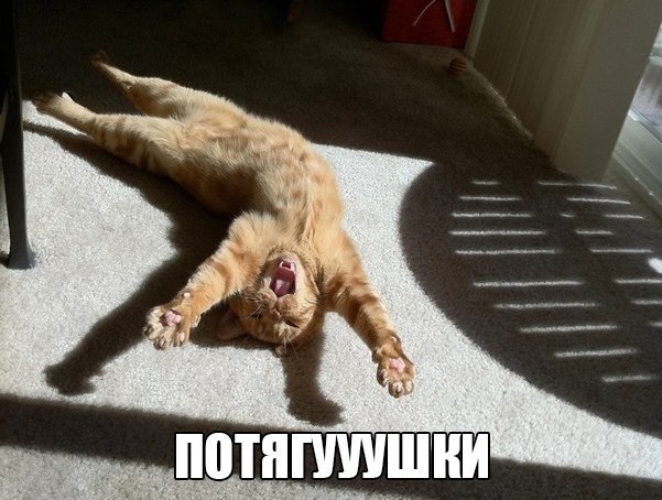  -  - 11  2014  16:46