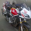 ���� ���������, ��������, 38 ��� - ��������� 21 ���� 2014