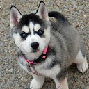 ���� �����, �������, 49 ��� - ��������� 14 ������ 2014 � ������ ���� ����������