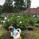  ,  -  13  2014      2014 .