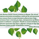 ���� �..., ���������, 28 ��� - ��������� 12 ���� 2014 � ������ ������ ��������