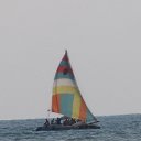  , , 69  -  24  2014   , , 