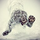 ���� �������, ������������, 30 ��� - ��������� 5 ������� 2014 � ������ ���� ����������