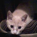 ���� ��� �-190, ������������ - ��������� 14 ���� 2014 � ������ ���� ����������