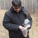 ���� ������, ������, 56 ��� - ��������� 4 ��� 2014 � ������ ���� ����������