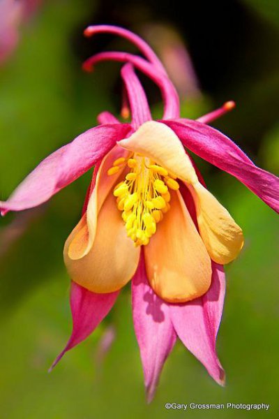 Даже если вы не понимаете, что сейчас происходит в вашей жизни, продолжайте доверять Богу! - 2