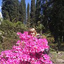 ���� �����, �����������, 54 ���� - ��������� 23 ��� 2014 � ������ ���� ����������