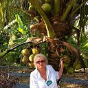 ���� �������, �����-���������, 62 ���� - ��������� 30 ������ 2014