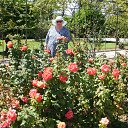  , , 62  -  11  2014   . . 2014