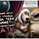 ���� ��������, �������, 50 ��� - ��������� 9 ���� 2014 � ������ ������ ��������