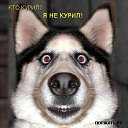 ���� �����, ������ - ��������� 19 ������� 2014 � ������ ����������!!!�