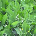 ���� �������, ����������, 49 ��� - ��������� 28 ���� 2014 � ������ ������ ��������