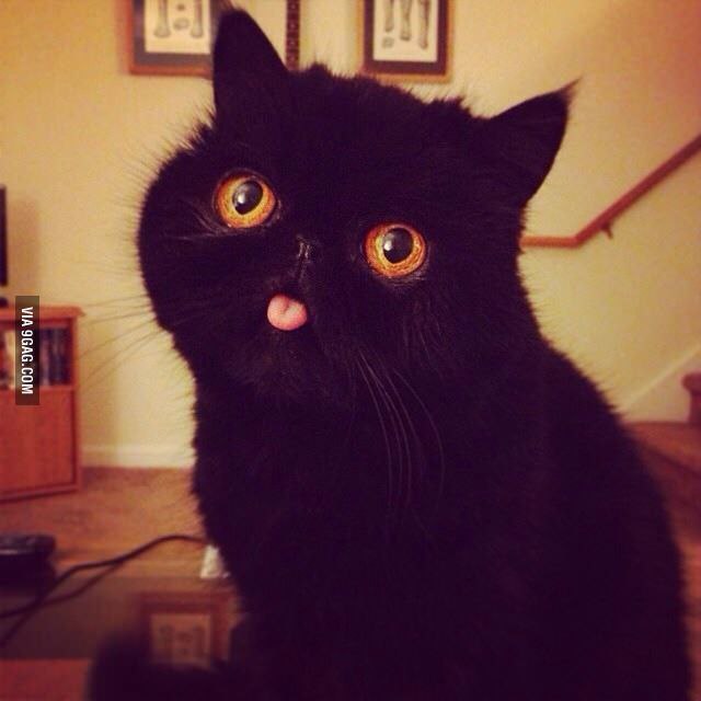  :3
