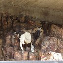 ���� *���������*, ������-��-���� - ��������� 19 ������� 2014 � ������ ���� ����������