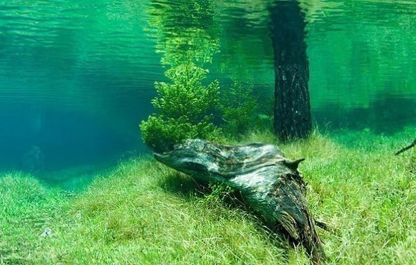 Подписывайтесь на нас: http://fotostrana.ru/public/233467 ;-) Необычное зеленое озеро В Австрии есть ... - 5
