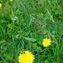 ���� Sviatlana, ���������� - ��������� 10 ��� 2014 � ������ ������