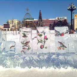 ���������- ����