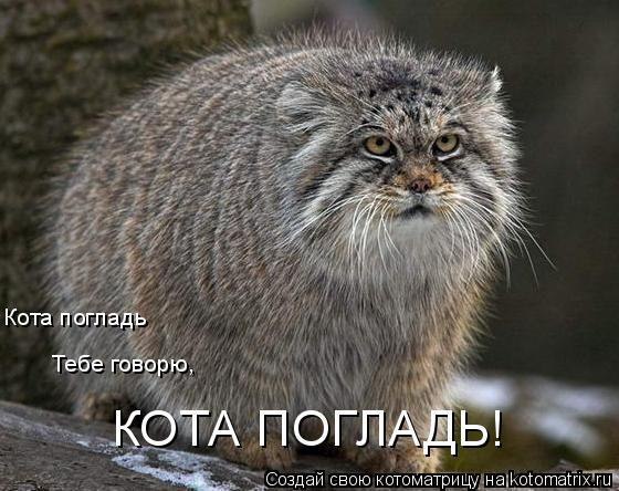 ���� ��� - 14 ������� 2014 � 19:40