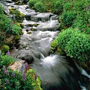 ���� ������, �����������, 53 ���� - ��������� 4 ��� 2014 � ������ ���� ����������