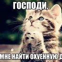 ���� ������, ������, 50 ��� - ��������� 11 ��� 2014 � ������ ������ ��������
