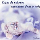 ���� ������, �����, 37 ��� - ��������� 13 ������� 2014 � ������ ������ ��������