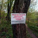 ���� ���������, ��������, 38 ��� - ��������� 30 ������ 2014 � ������ ������ ��������