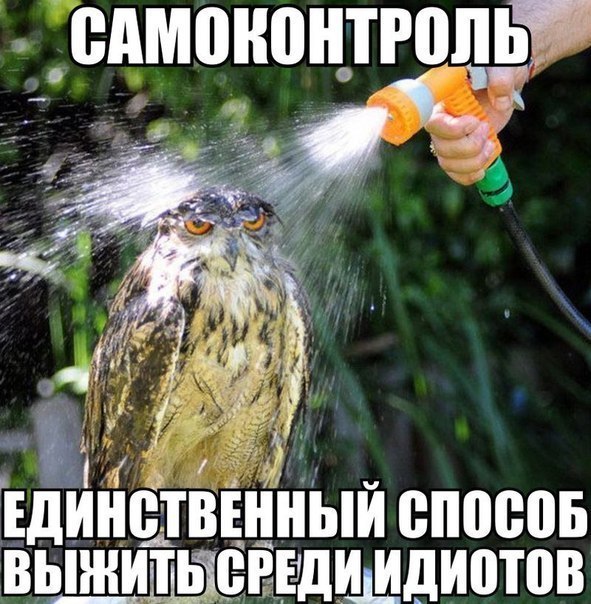 ����������� (18+) - 16 ��� 2014 � 13:22