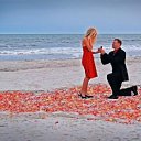 ���� Volk, �������, 46 ��� - ��������� 20 ����� 2014 � ������ ���� ����������