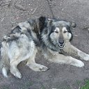 -   ,   .  -  .     . :-)   -׸ , 23  2014