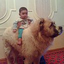 ���� ������, �����-���������, 53 ���� - ��������� 4 ��� 2014