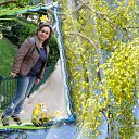 ���� ����, ����� - ��������� 16 ������ 2014 � ������ ������ ��������