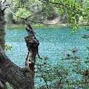 ���� �� ���� ����������� ���� �� ������� ������������ �����