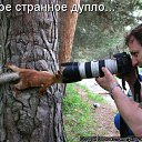 ���� Tolikrostov, ������-��-����, 31 ��� - ��������� 11 ���� 2014 � ������ ������ ��������