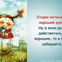 ���� ��������, ���������, 61 ��� - ��������� 24 ����� 2014 � ������ ������ ��������