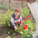 ���� ������, ������������, 69 ��� - ��������� 18 ������� 2014 � ������ ���� ����������