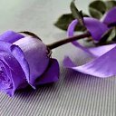 ���� Aleksandras 1, ������ - ��������� 8 ��� 2014 � ������ ���� ����������