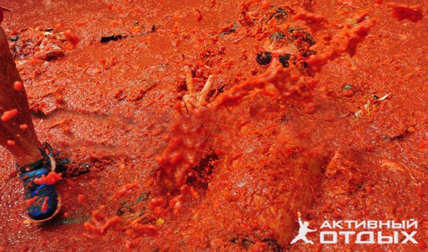 La Tomatina.     (),      ...