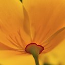 ���� ������, �������, 36 ��� - ��������� 20 ���� 2014 � ������ ���� ����������