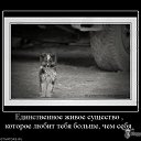 ���� ���������, �����������, 55 ��� - ��������� 4 ��� 2014 � ������ ������ ��������