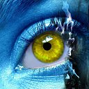 ���� ������, �������, 36 ��� - ��������� 20 ���� 2014 � ������ ���� ����������