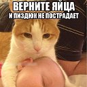 ���� �����, ���������� - ��������� 23 ������ 2014 � ������ ������ ��������