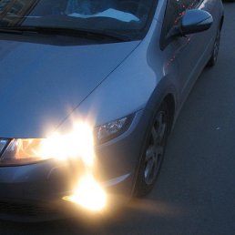 ����, �����-���������, 45 ���