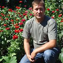 ���� �����672, ���, 59 ��� - ��������� 16 ���� 2014 � ������ ���� ����������