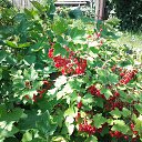 ���� ������� �����, �������������, 67 ��� - ��������� 12 ���� 2014 � ������ ������ ��������