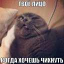 ���� Vladislav, ������ ��������, 37 ��� - ��������� 17 ��� 2014 � ������ ������ ��������