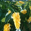  Nta-., - -  6  2014   ,   .