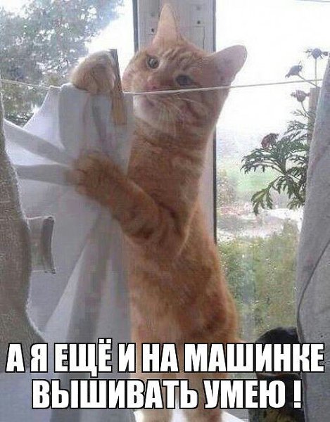 )))